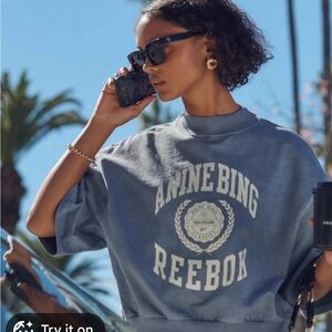 Anine Bing Reebok Blue Mockneck Sweatshirt